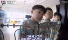 大韩民国万岁爆料视频,真相与争议并存