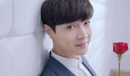 张艺兴郑爽最新爆料,揭秘娱乐圈背后的真相与情感纠葛