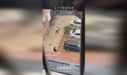 女人出轨被情夫爆料视频