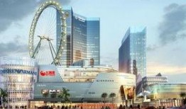 佛山金沙洲爆料案件最新,真相与疑云交织的悬疑事件