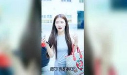 辰逸娱乐爆料视频大全集,视频大全集精彩回顾