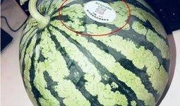 泰国网红吃瓜,趣味横生引网友热议