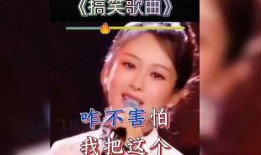 爆料搞笑歌曲视频播放,搞笑歌曲引网友热议