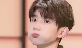 王源最新爆料消息,揭秘娱乐圈幕后故事