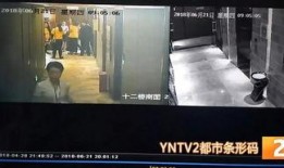 酒店卫生门爆料案例视频,揭秘卫生安全背后的惊人真相