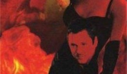 在线观看霹雳女杀手,剑影重重，情仇交织的江湖传奇