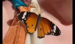 程潇爆料游玩视频大全