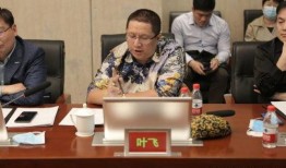 叶飞最新爆料股江中制药,揭开神秘面纱，探寻企业真实面貌