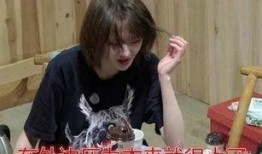 七仔粉丝爆料事件真相视频,揭秘背后惊人内幕