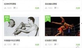 爆料功夫视频完整版下载,一窥武术传奇背后的精彩瞬间