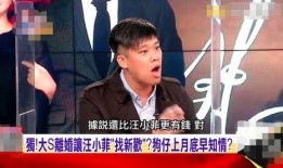 汪小菲被爆料视频全集,揭秘事件全貌与背后真相