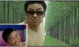 王宝强最近爆料视频播放,揭秘娱乐圈背后真相