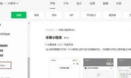 小程序今日独家爆料,揭秘小程序最新爆料，不容错过的行业动态