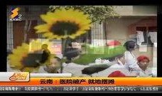 热点爆料摆摊视频大全集,街头经济新风尚深度解析