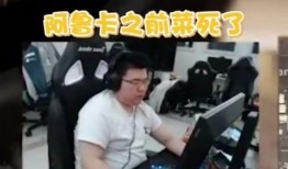 韦神最后一局爆料视频,揭秘游戏幕后真相