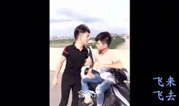 爆料搞笑歌曲视频播放,搞笑歌曲引网友热议