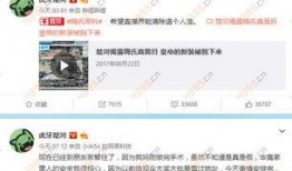 楚河爆料嗨氏完整视频,楚河爆料背后的真相与争议