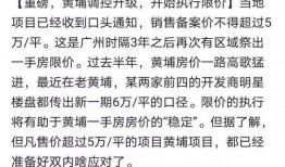 广州黄埔爆料事件始末最新消息,真相与争议交织的舆情漩涡