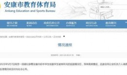 陕西学生爆料视频最新网站,揭秘校园事件真相