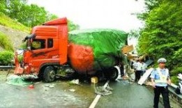 货车爆料新闻,揭秘货运行业背后的真相与挑战