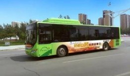 张家口公交车爆料新闻最新,多车相撞，伤亡情况引关注