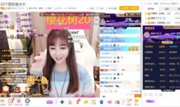 阿扣直播爆料视频大全集,揭秘幕后真相与精彩瞬间