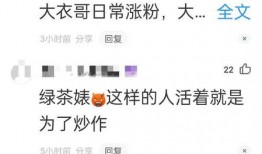 陈亚楠天涯爆料视频大全,揭秘娱乐圈不为人知的一面