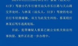 最新汕头爆料消息新闻,聚焦城市动态与民生焦点