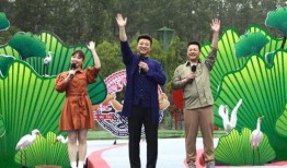 王贵妃爆料新闻视频大全,揭秘新闻视频背后的真相与幕后故事