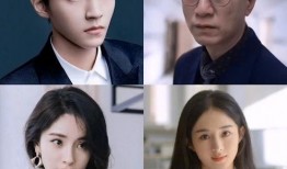 演员的考验在线观看,揭秘明星幕后真实演技瞬间