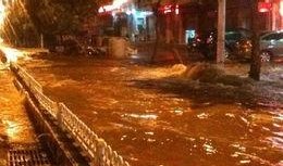 湛江新闻爆料微博,最新事件追踪，揭秘背后真相