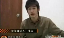 张翰引爆料视频,独家爆料视频深度解析