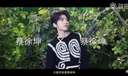 蔡徐坤有什么爆料的视频,揭秘娱乐圈不为人知的秘密