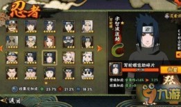 忍者爆料最新消息,最新情报曝光，揭秘神秘组织内部秘密