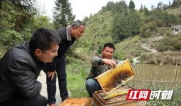 湘西永顺爆料事件最新,揭开神秘面纱，真相即将揭晓