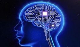 医生爆料脑芯片视频,医生亲述前沿科技震撼视频背后的真相