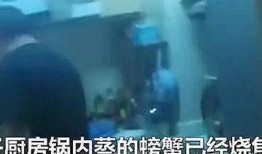 浙江冯小姐爆料事件视频,揭秘事件背后真相