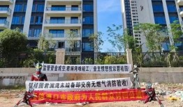 海口碧桂园爆料最新消息,揭秘项目最新进展与亮点