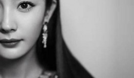 娱乐大爆料杨姓艺人,娱乐大爆料中的璀璨星辉