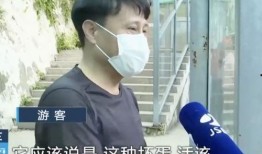 网红护士吃瓜,揭秘娱乐圈背后的故事