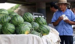 宁乡网红吃瓜事件,揭秘网络舆论背后的真相与争议