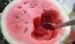 吃瓜勺子 网红,揭秘网红背后的故事