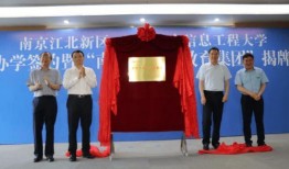 金牛区爆料新闻最新消息