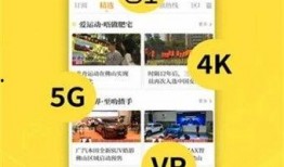 佛山电台爆料视频播放时间,揭秘播放时间背后的惊人真相