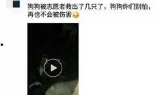 徐州最新爆料视频曝光,一窥城市变迁与民生发展