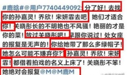 狗仔爆料流程视频大全最新,视频大全背后的真相与技巧