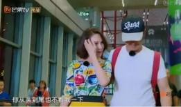 娱乐吃瓜第一站,娱乐吃瓜第一站，带你畅游八卦海洋