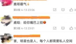 狗仔爆料流程视频大全最新,视频大全背后的真相与技巧