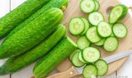 一起吃瓜一起免费吃瓜,共享免费吃瓜盛宴