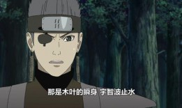 止水忍者爆料视频在线观看,揭秘忍者世界神秘面纱